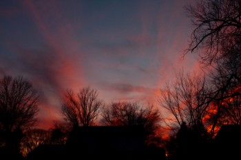 Sunset, Out Back