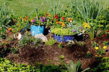 Cathy's 'Stump' Garden