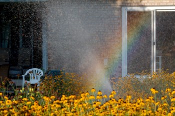 Backyard Rainbow