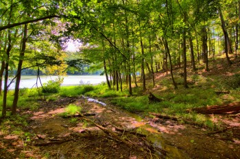 Lake Bernard Frank