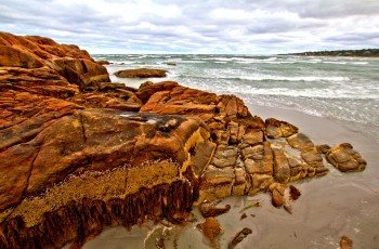 Wingaersheek Beach