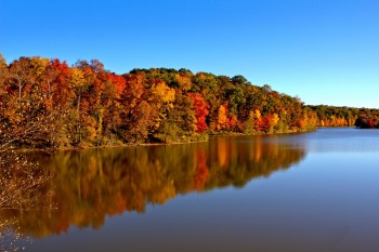 Lake Needwood