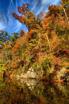 C&O Canal, Below Swain’s Lock