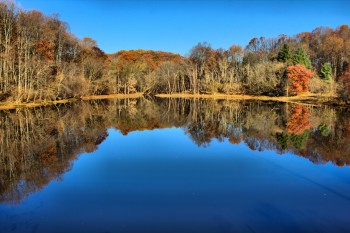 Lake Needwood