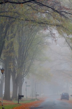 Foggy Neighborhood