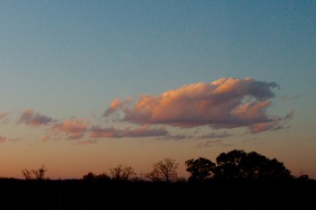 Evening Clouds