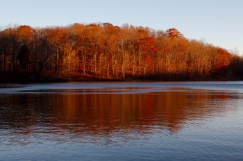 Lake Needwood