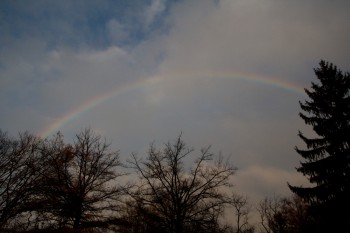 Rainbow