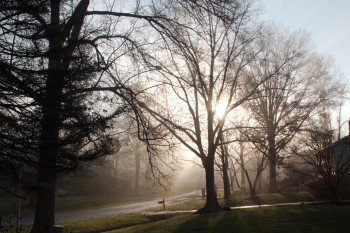 Sun Through The Fog