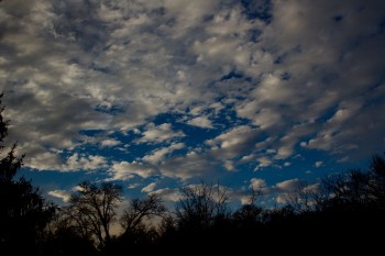 Brief Afternoon Blueness