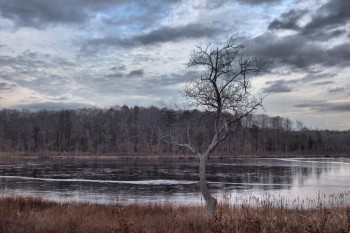 Coy Pond, Gordon College