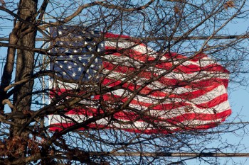 US Flag Through The Trees