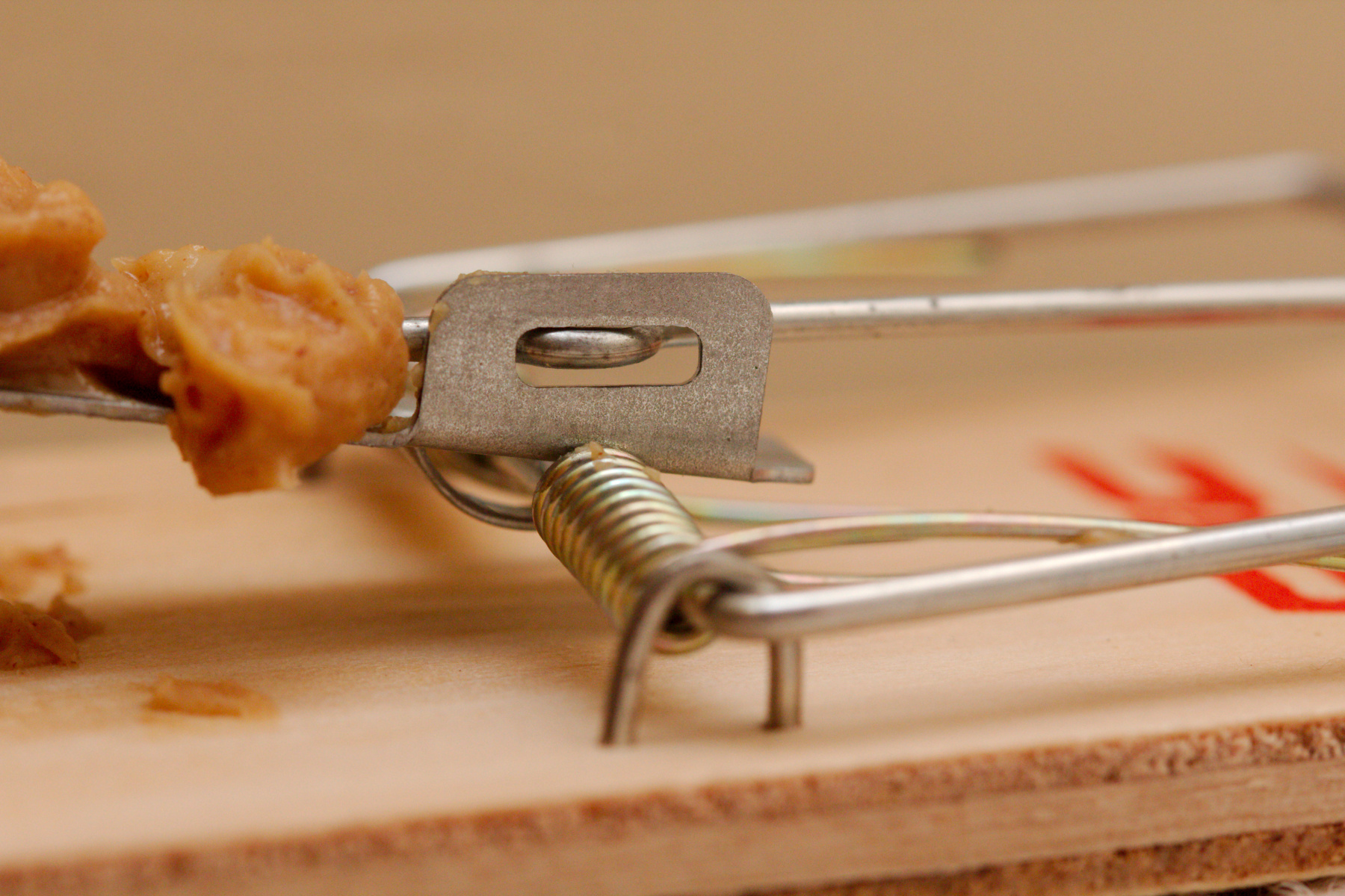 Peanut butter 2025 mouse trap
