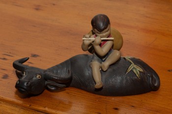 Boy and Water Buffalo