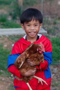 Ethan And  A Chicken