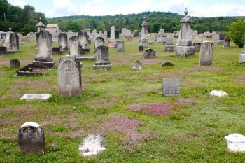 Gilbert Cemetery - Thyme For Remembrance