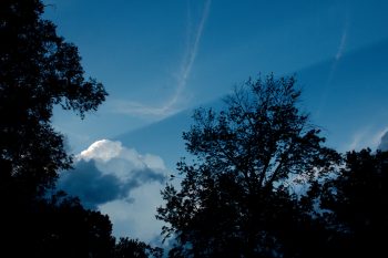 Cloud Shadows