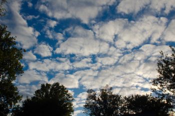 Evening Clouds