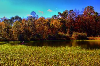 Cathy On The Pond