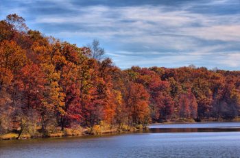 Lake Needwood