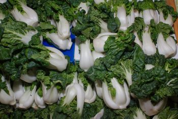 Bok Choy