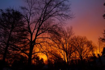 Sunrise