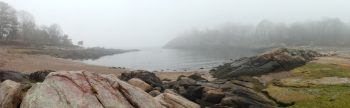 Lobster Cove