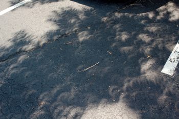 Nature's Pinhole Camera