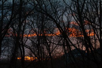 Sunset Through The Woods