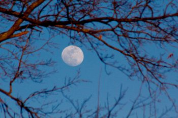 Waxing Gibbous Moon