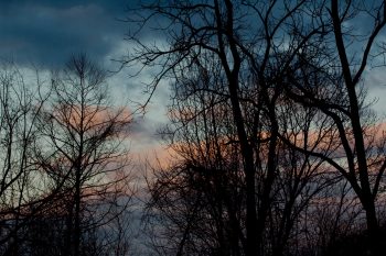 Clouds at Dusk