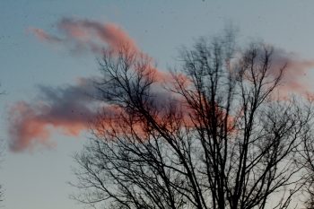 Windy Sunset