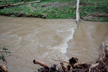 Rock Creek After a Rain