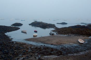 Foggy Harbor, Marblehead, Massachusetts