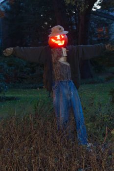 Punkin Head Scarecrow