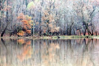 Lake Needwood