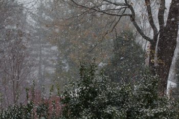 First Snow of Autumn