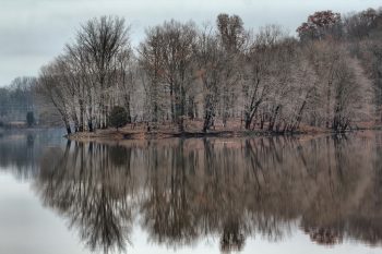 Lake Needwood