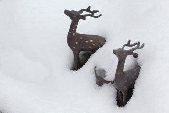 Deer Figurines in the Snow