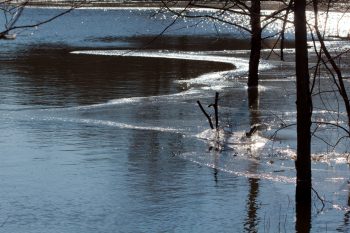 Freezing Pond