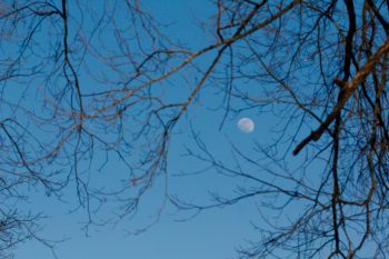 Waxing Gibbous Moon