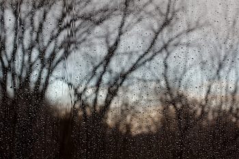 Rain on My Office Window