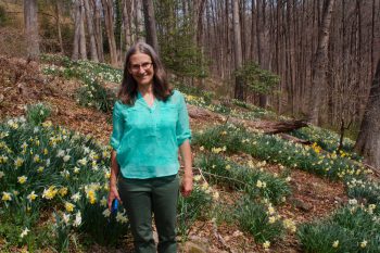 Cathy and Daffodils