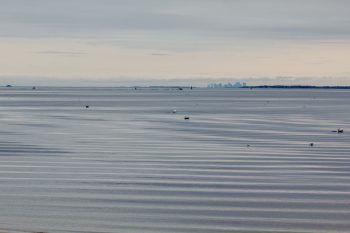 Boston from Gloucester