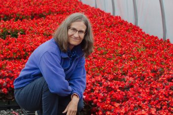 Cathy and Begonias