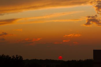 Sunset At Shady Grove