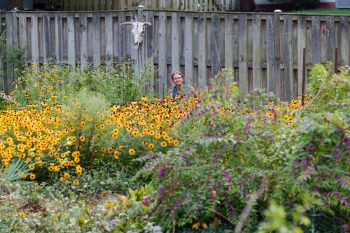 Cathy Weeding