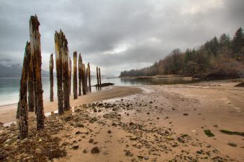 Treadwell Beach