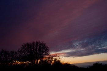 Suburban Sunset