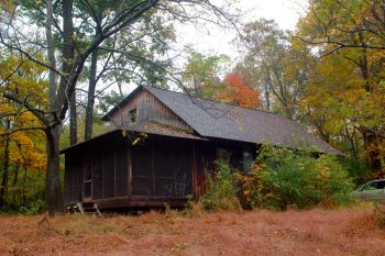 The Cabin